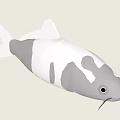 Stunning White And Gray Spotted Koi Fish Showcasing Unique Patterns In Water