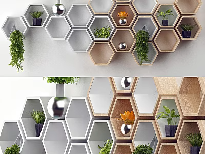 Hexagonal Wall Decor with Gray and Wooden Shelves Plants Silver Spherical Ornaments and Vase 3d model