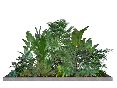 Lush Tropical Green Plants With Various Leaf Shapes In Garden Arrangement 3d model