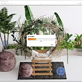 Tropical Plants Photo Check-in Spot With Wreath Decoration Wooden Ladder And Decorative Spheres