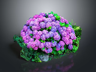 Vibrant Purple Hydrangea Bouquet With Lush Green Leaves And Stones 3d model