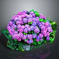 Vibrant Purple Hydrangea Bouquet With Lush Green Leaves And Stones