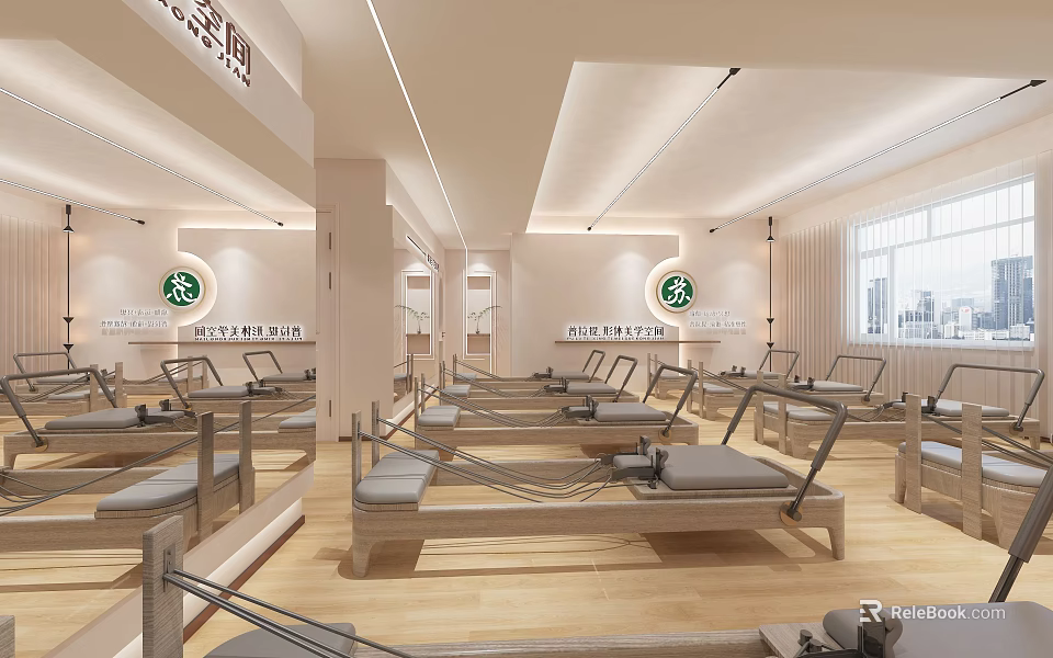Spacious Pilates Studio With Modern Equipment And Bright Interior 3d model 