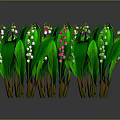 Clustered Lily of the Valley Plants with Green Leaves White Pink Flowers and Orange Blooms