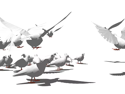 Group Of White Pigeons Flying And Standing On Ground With Red Feet Against White Background 3d model
