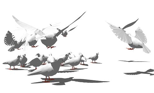 Modern Pigeon White Dove 3d model