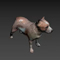 Brown And White Medium Sized Dog Standing On Neutral Gray Background