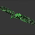 Dark Colored Eagle Flying With Spread Wings In Flight On Dark Gray Background