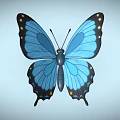 Beautiful Blue Butterfly With Vibrant Wings And Black Spots On Light Background