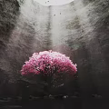 Garden Landscape With Pink Flowering Tree In Cave Setting Overhead Light Rays And Rocky Water