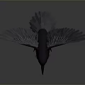 Detailed Black Crow With Spread Wings Standing On Gray Background 3d model