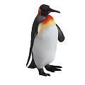 King Penguin With Black Head White Belly And Orange Neck Patch Standing 3d model