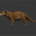 Small Brown Mammal With Long Snout Sharp Claws In Standing 3D Pose On Dark Background