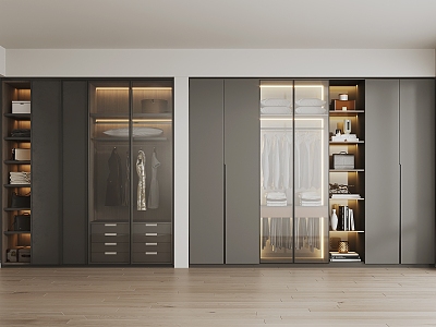 Light Luxury Simple Glass Wardrobe model