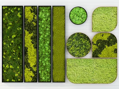 Living Wall Decorative Design Featuring Various Shapes And Lush Green Foliage Patterns 3d model