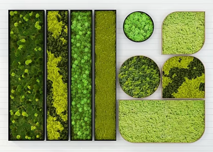 Plant wall 3d model