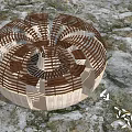 Circular Wooden Pergola With Open Lattice Structure In Outdoor Garden Top View Design