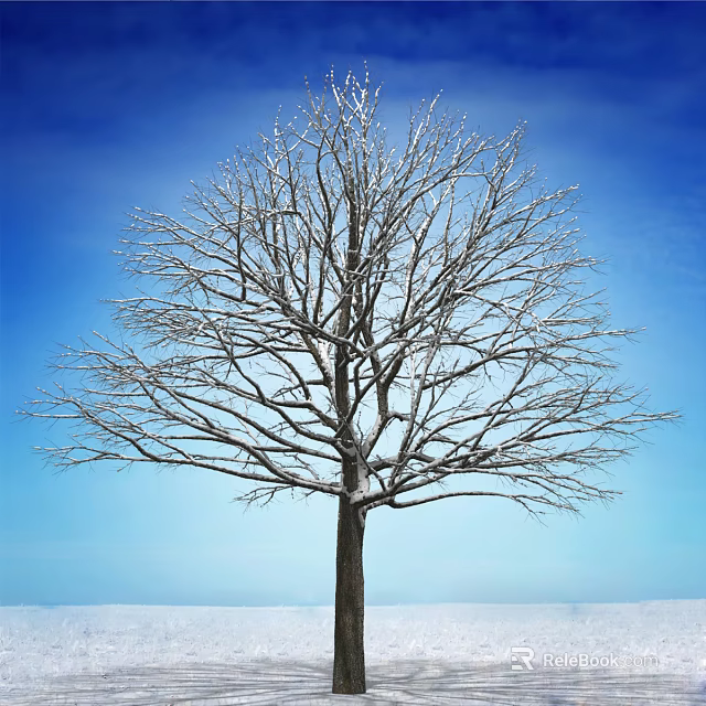 Leafless Tree Covered With Snow Against Blue Sky And Snowy Ground 3d model 