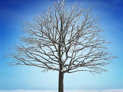 Leafless Tree Covered With Snow Against Blue Sky And Snowy Ground 3d model