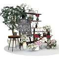 Garden Decor Display With Various Flowers Potted Plants Vases Wooden Shelves And Chalkboard