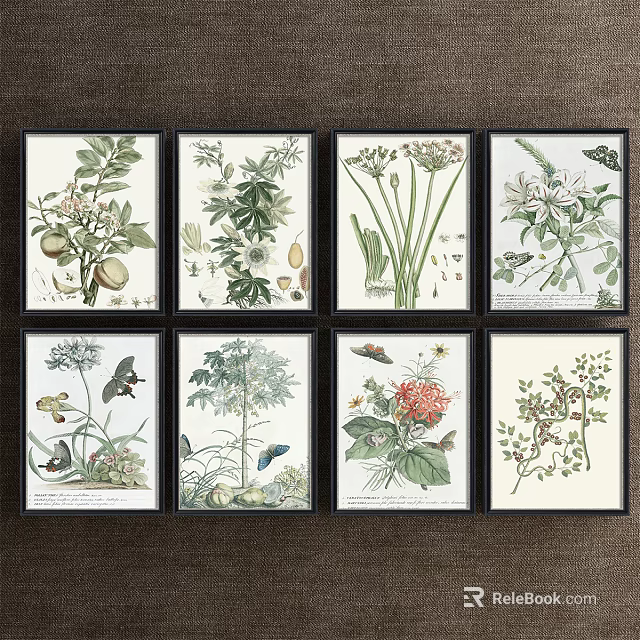Vintage Framed Botanical Prints With Various Plants Birds And Insects 3d model 