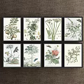 Vintage Framed Botanical Prints With Various Plants Birds And Insects