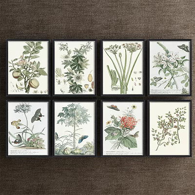 Vintage Framed Botanical Prints With Various Plants Birds And Insects 3d model