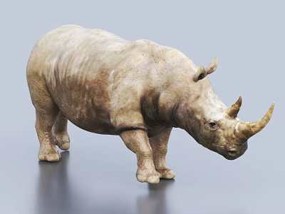 Horned Reptile 3D Model With Detailed Skin Standing On Gray Surface 3d model