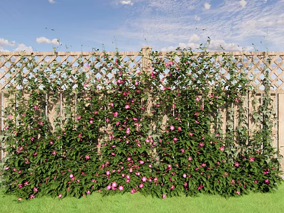 Climbing Vines With Pink Flowers And Green Leaves On Wooden Lattice Fence 3d model