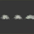 Small Fresh Green Leafy Plants Arranged in Clusters on Black Background