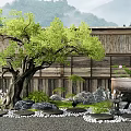 Traditional Japanese Garden With Large Tree Bamboo Fence Rocks And Clay Pot