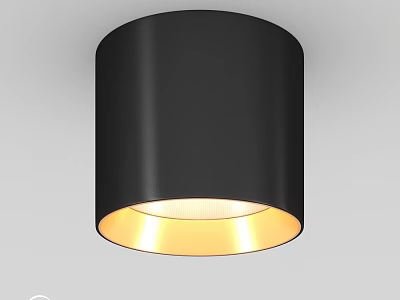 Modern Black Cylindrical Downlight Spotlight With Warm Yellow Lighting For Home Interior 3d model