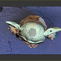 Cute Green Alien Creature With Big Eyes Fur Collar Coat On Blue Base 3D Rendering