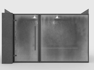 Modern Shower Sauna Interior Design With Glass Doors And Dual Compartments 3d model