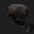Realistic Wild Boar 3D Model With Detailed Fur Texture And Dark Background