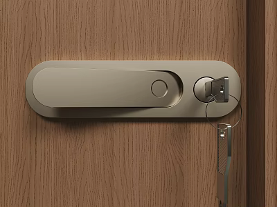 Sleek Modern Metal Door Handle Installed on Wooden Door with Key in Lock 3d model