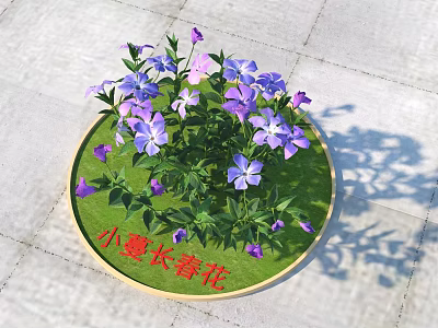 Lesser Periwinkle Flowers With Purple Pink Blooms In Round Pot Green Grass Base 3d model