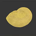 Modern Fossils Chichimerite Ancient Fossils 3d model