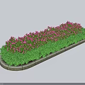 Green Flowering Shrubs With Pink Blooms In Elongated Garden Bed Landscape Design