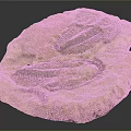 Prehistoric Trilobite Fossil Well Preserved with Detailed Features in Ancient Stone Slab