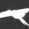 Detailed Aquatic Animal Skeleton Featuring Long Beak And Wing Bone Structure