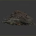 Natural Pile of Twigs Leaves and Branches with Organic Debris
