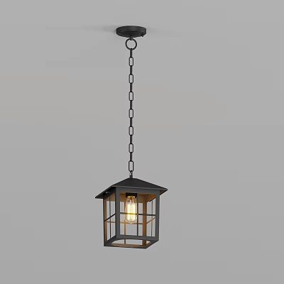 Rustic Black Frame Pendant Light With Glass Shade Chain Hanging And Warm Light Bulb 3d model