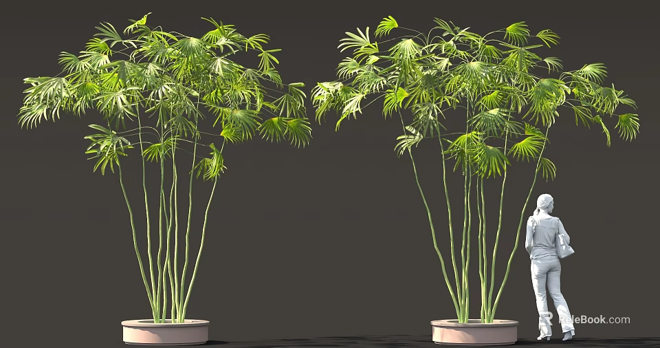Tall Green Potted Plants With Lush Leaves And White Human Figure 3d model 