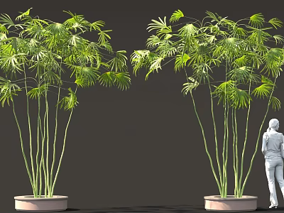 Tall Green Potted Plants With Lush Leaves And White Human Figure 3d model