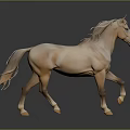 Light Brown Horse Walking on Black Ground with Gray Background and Flowing Mane and Tail