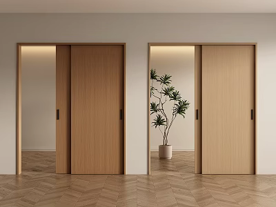 Two Wooden Sliding Doors In Modern Interior With Herringbone Floor And Potted Plant 3d model
