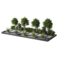Beautiful Water Fountain Garden Landscape With Green Trees Bushes And Stone Slab Paths