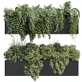 Decorative Bonsai Potted Plants With Layered Hanging Greenery In Black Containers