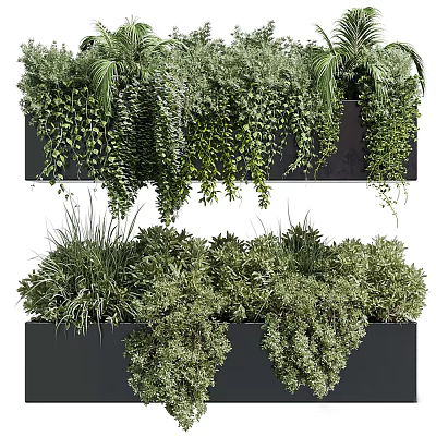 Decorative Bonsai Potted Plants With Layered Hanging Greenery In Black Containers 3d model